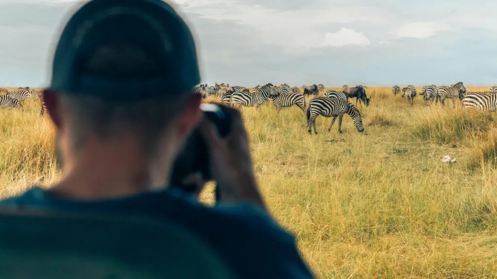 A photographer gets the shot of a herd of zebra