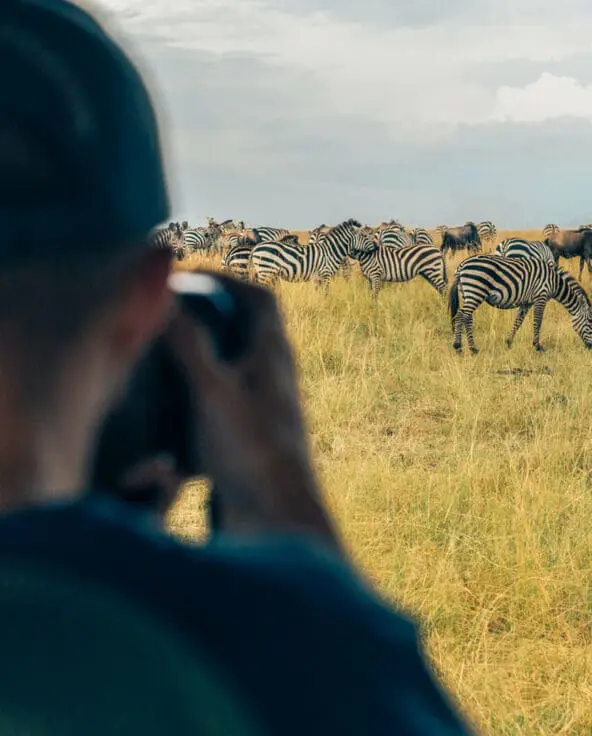 A photographer gets the shot of a herd of zebra