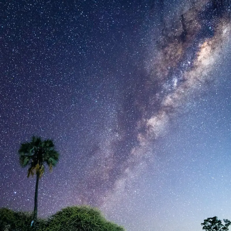 The Milky Way in the night sky as seen on a. night game drive