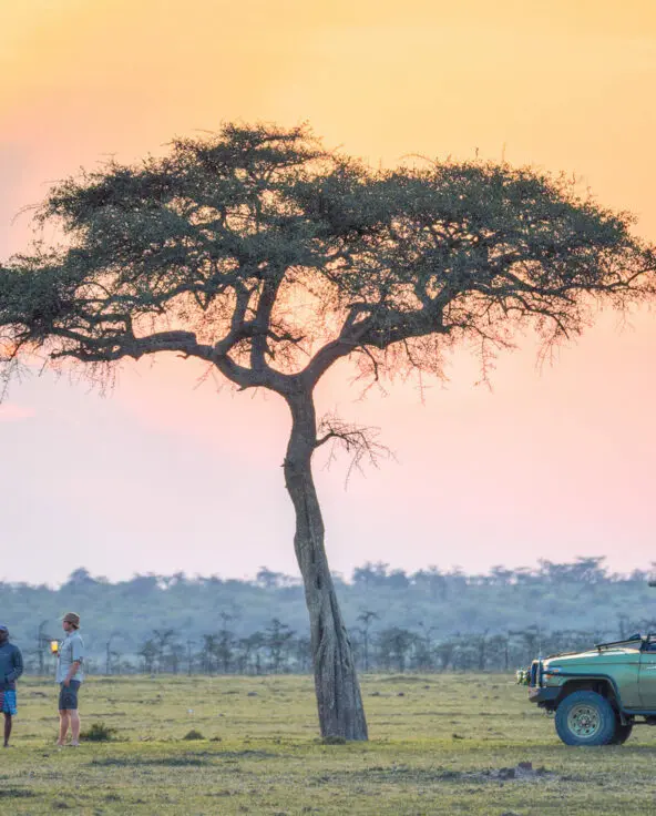 Stopping for a sundowner drink on an afternoon game drive in Kenya
