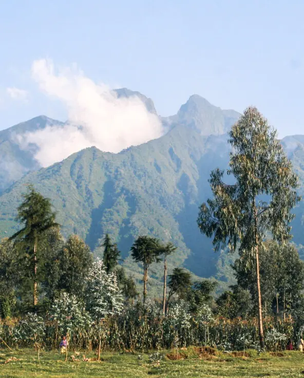 One of the peaks of Volcanoes National Park