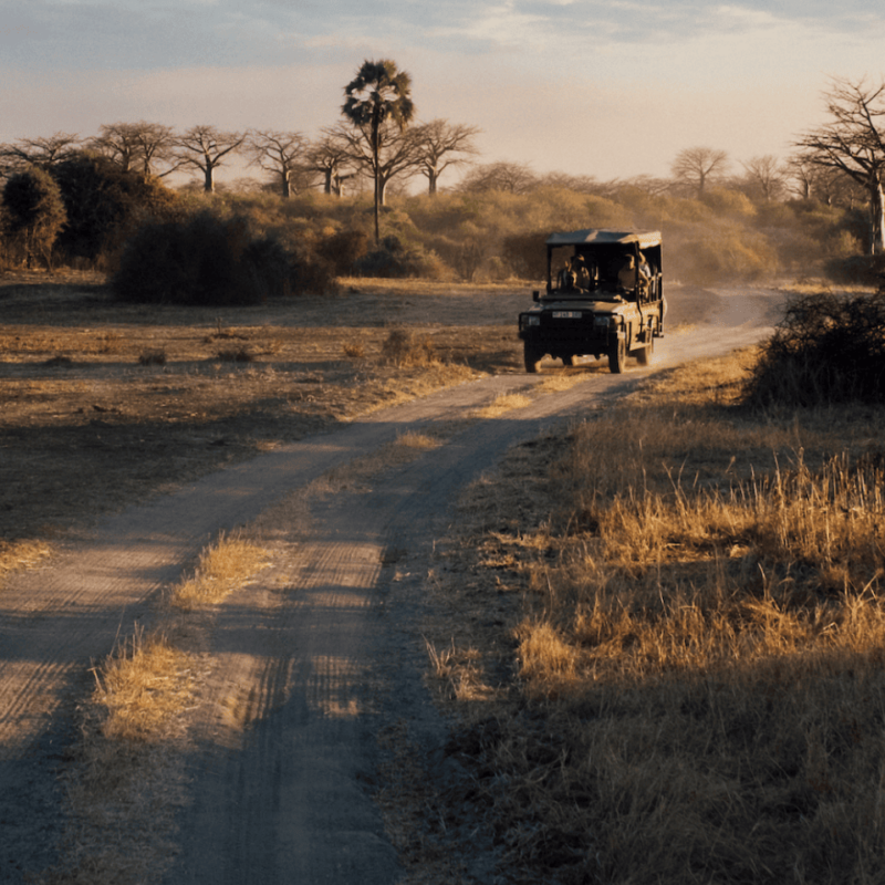 asilia africa safari vehicle driving along a dusty road at sunrise in southern tanzania