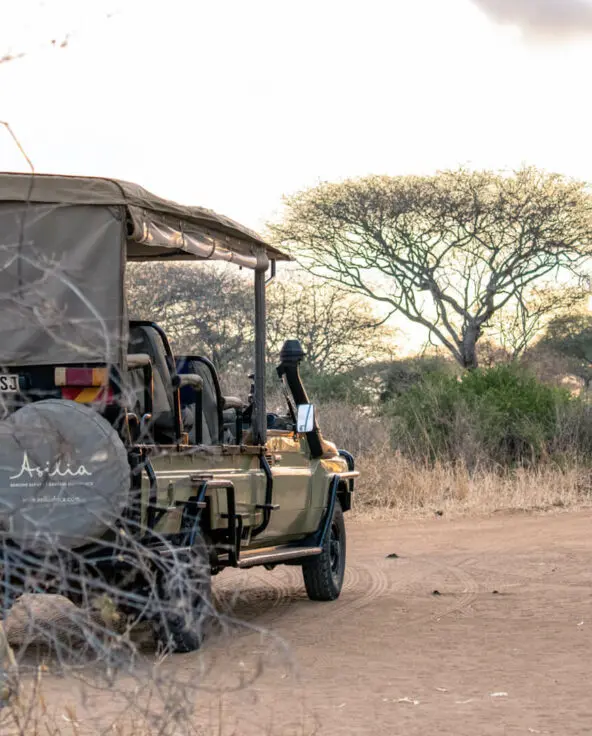 An Asilia game drive vehicle on a dirt road through the wilderness of Tarangire