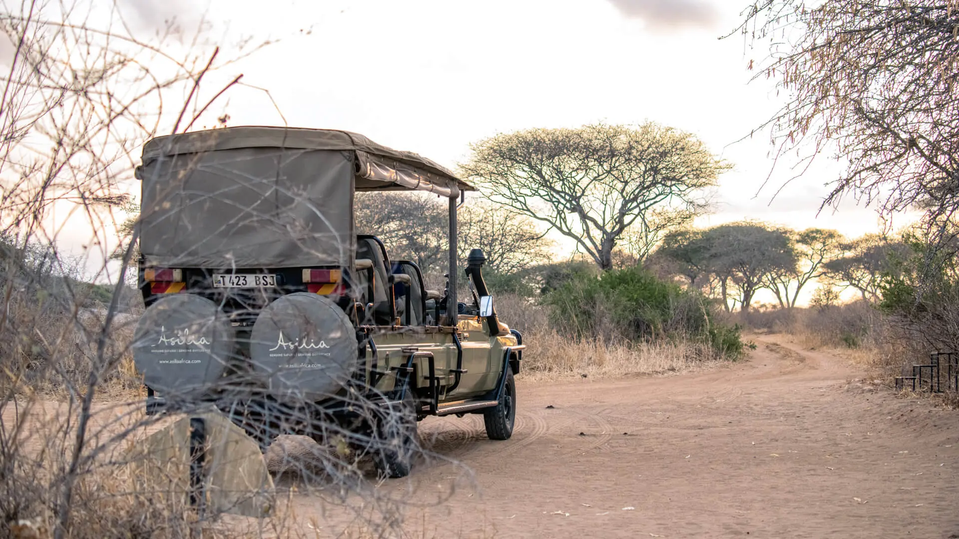 An Asilia game drive vehicle on a dirt road through the wilderness of Tarangire