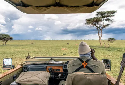An Asilia guide looks out over the plains using binoculars
