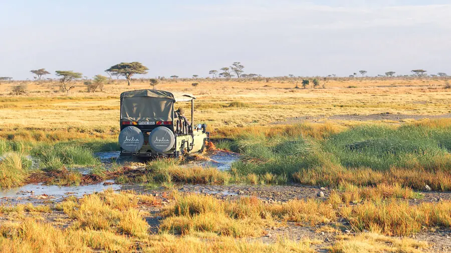An Asilia guide navigates the muddy terrain