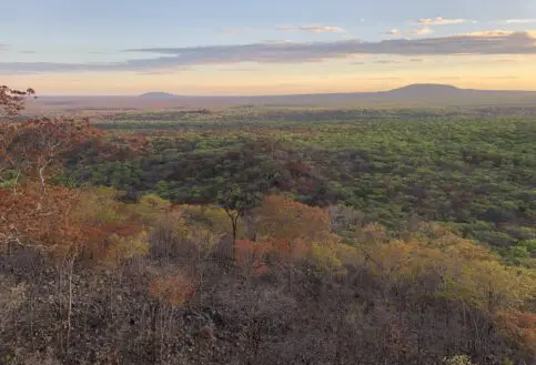 An areal view of Usangu's wetlands