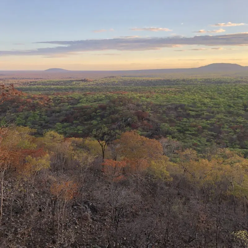 An areal view of Usangu's wetlands