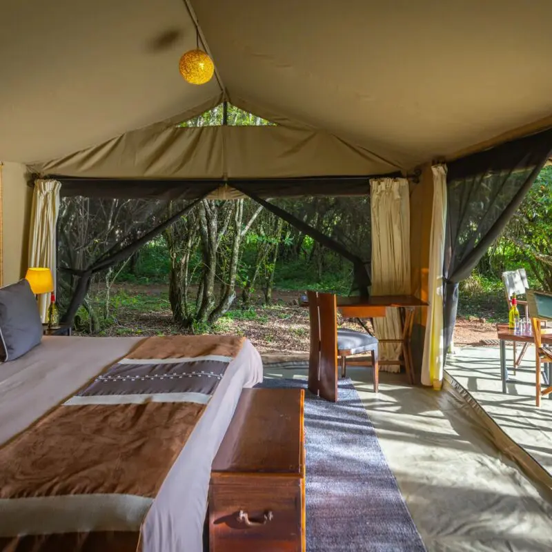 A safari tent bedroom with large bed, bedside tables, and soft ambient lighting
