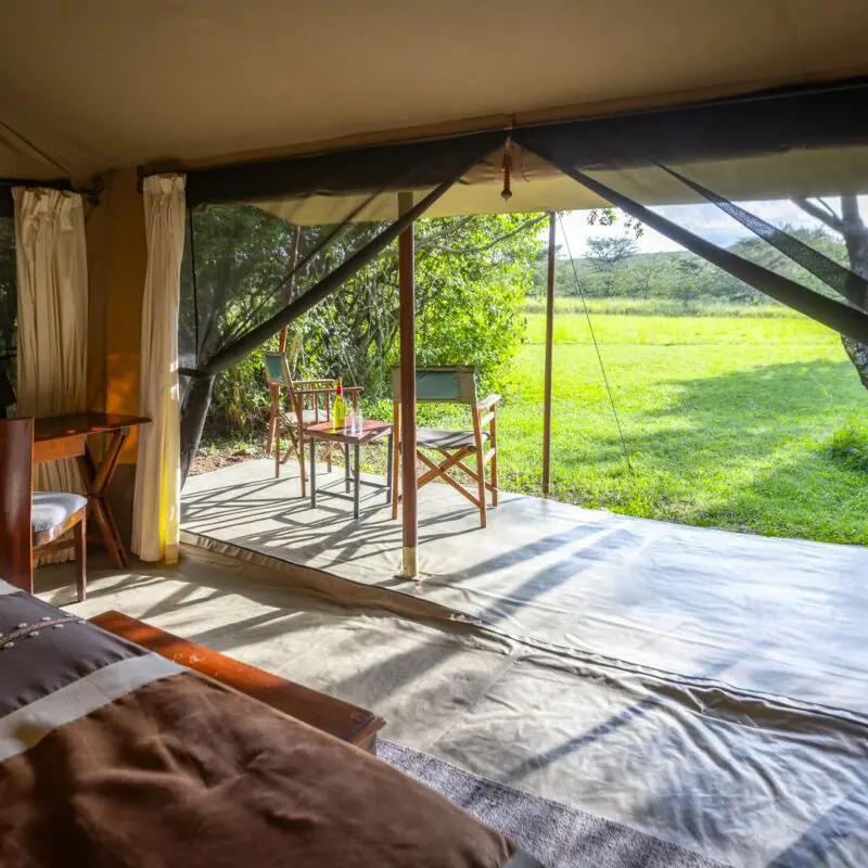 Interior of a safari tent with bed and open front leading to a grassy outdoor seating area