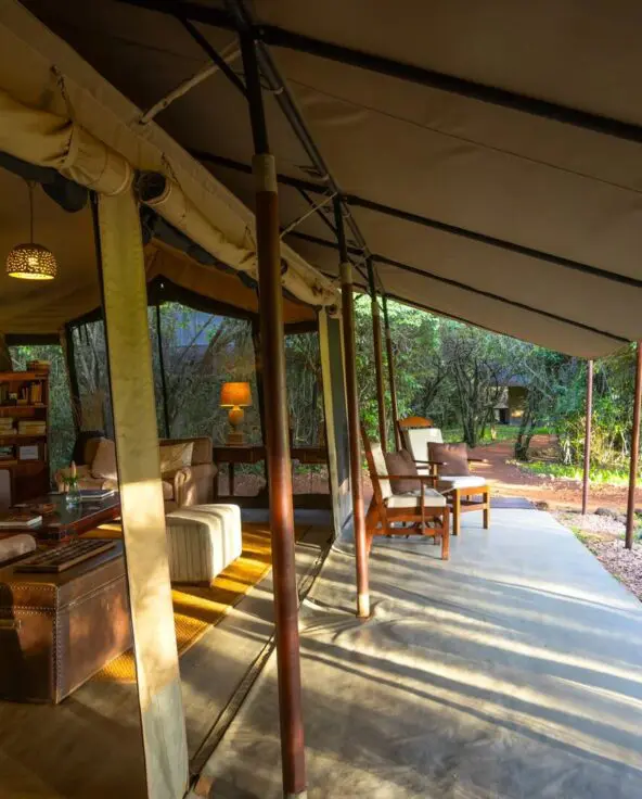 Interior of Encounter Mara's luxury safari tent lounge with sofas, lamps, wooden furniture, and an open veranda overlooking forested surroundings.