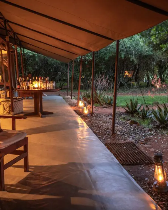 An open-air safari lounge with chairs and lanterns glowing at dusk among trees