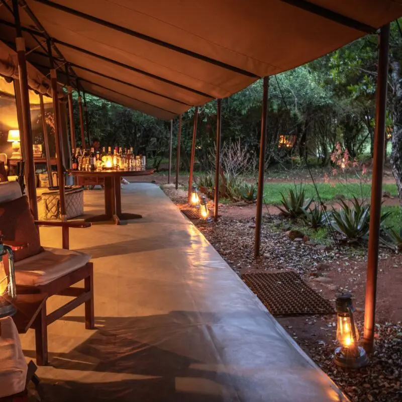 An open-air safari lounge with chairs and lanterns glowing at dusk among trees