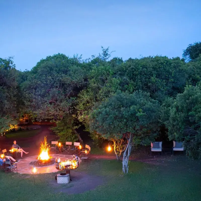 Aerial view of a safari camp at night with a central fire pit, lantern-lit seating, and surrounding trees under a deep blue sky.