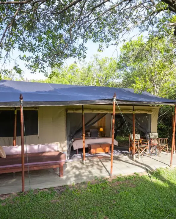 Spacious luxury safari tent with veranda, seating, and bed, surrounded by trees and greenery - encounter mara camp - asilia africa
