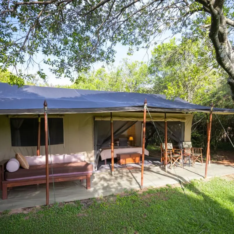 Spacious luxury safari tent with veranda, seating, and bed, surrounded by trees and greenery - encounter mara camp - asilia africa