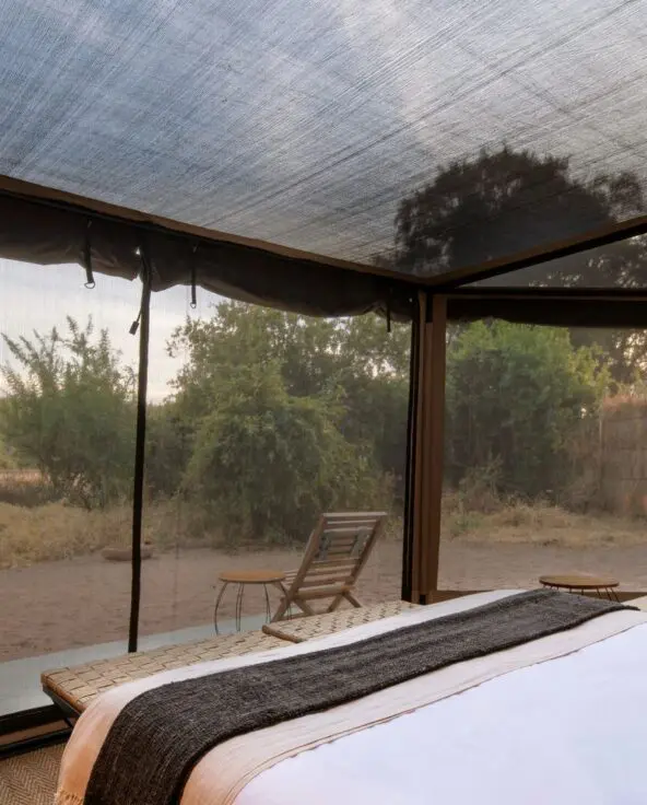 The interior of the guest tent at Kokoko Camp with large bed and mesh ceiling with views of the landscape