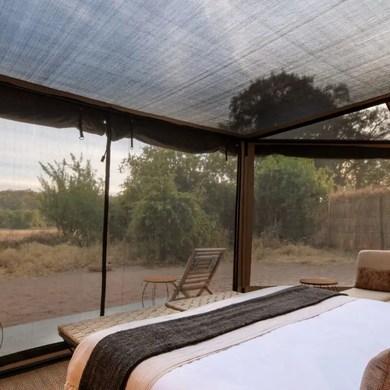The interior of the guest tent at Kokoko Camp with large bed and mesh ceiling with views of the landscape