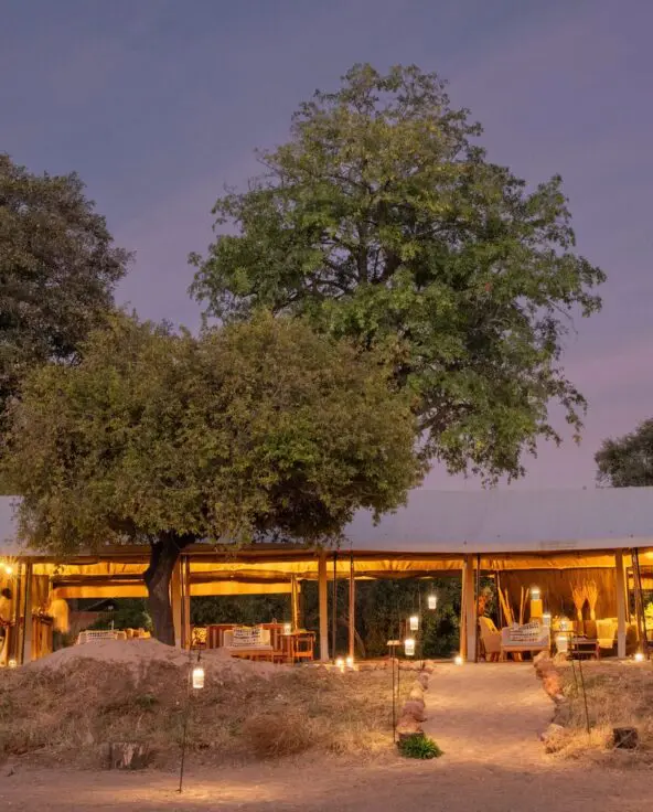 Kokoko Camp's softly lit lounge and dining area under canvas tents surrounded by trees at twilight.