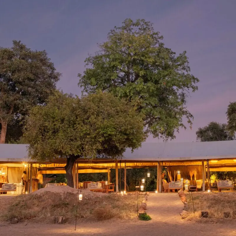 Kokoko Camp's softly lit lounge and dining area under canvas tents surrounded by trees at twilight.