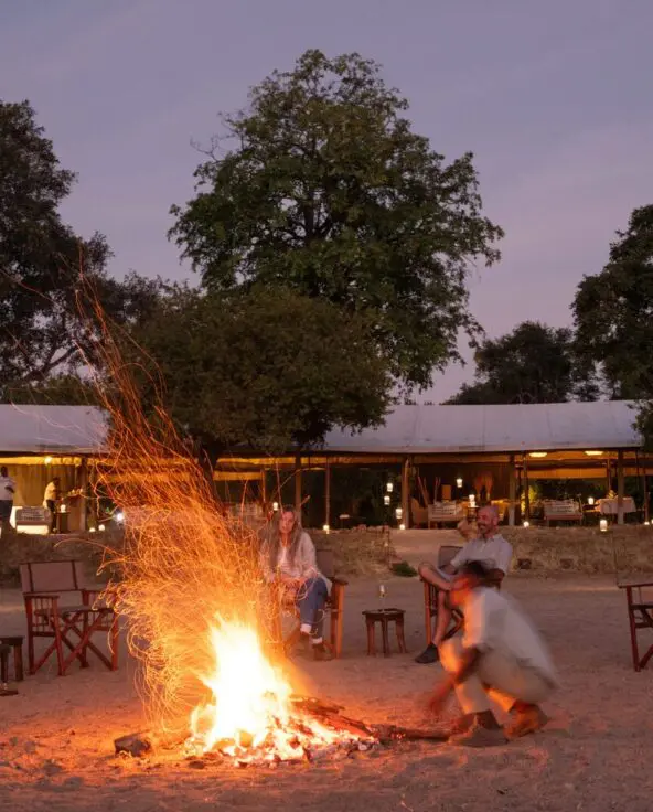 Kokoko Camp guests sit around the campfire at dusk with glowing tents and trees in the background