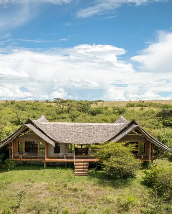 A standalone luxury family suite at Naboisho Camp with a thatched roof, raised deck, and steps, surrounded by green savannah and scattered acacia trees under a bright sky.