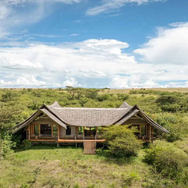 A standalone luxury family suite at Naboisho Camp with a thatched roof, raised deck, and steps, surrounded by green savannah and scattered acacia trees under a bright sky.