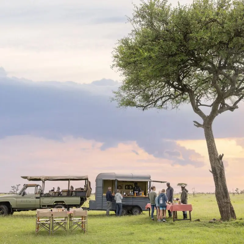 Guests gather beside a safari vehicle and mobile bar under a lone acacia tree, enjoying sundowner drinks on open grassland at sunset.