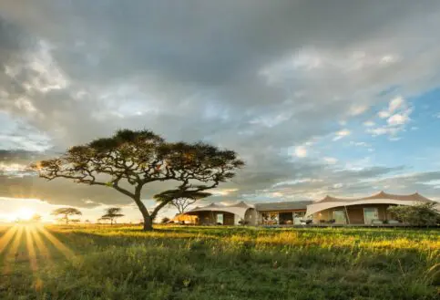 The Namiri Retreats, set on open grassland at sunset, with canvas tents and a central lodge illuminated by warm light, framed by an acacia tree and dramatic clouds.