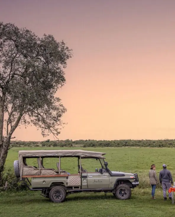 An Asilia safari vehicle parked near a tree with a drinks table set up in open grassland at sunset