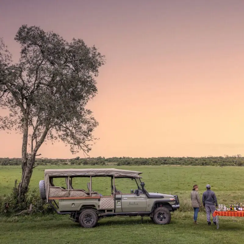 An Asilia safari vehicle parked near a tree with a drinks table set up in open grassland at sunset