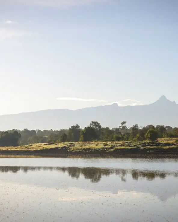A distant view of Mount Kenya beyond a river with trees and grassy plains in the foreground.