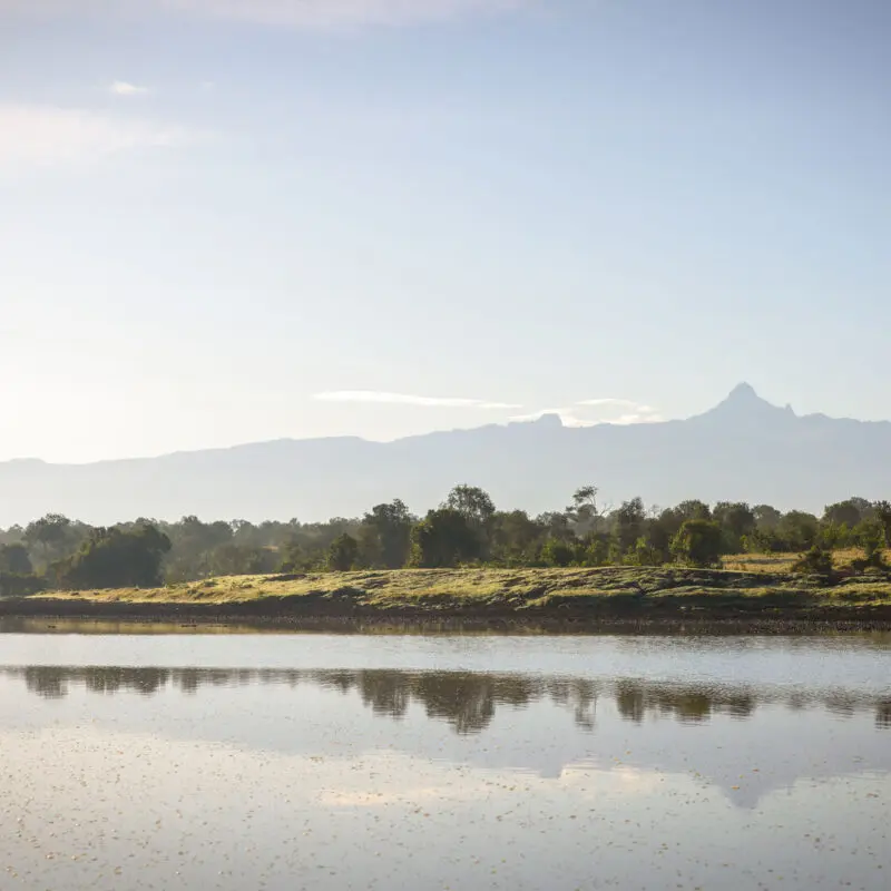 A distant view of Mount Kenya beyond a river with trees and grassy plains in the foreground.