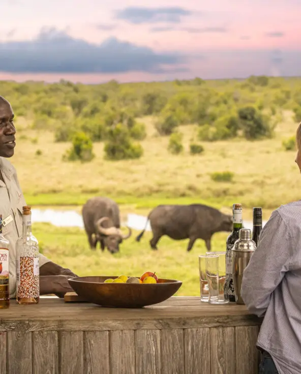 A guest at a bush bar with drinks set out while buffalo graze in the background