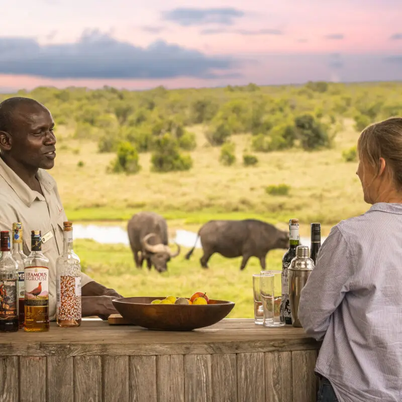 A guest at a bush bar with drinks set out while buffalo graze in the background