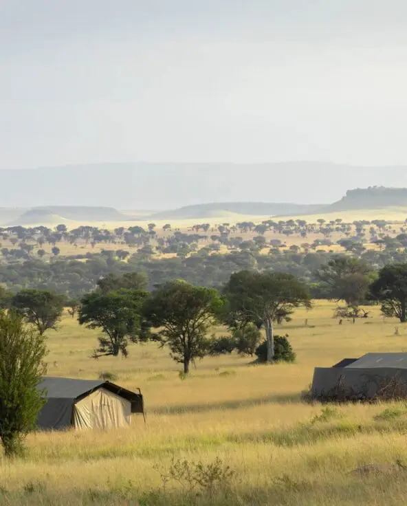 A mobile safari camp with canvas tents set among golden grasslands and scattered acacia trees, overlooking expansive plains and distant hills.