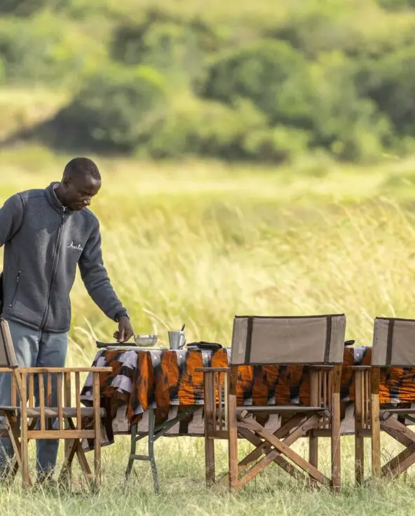 A staff member sets a dining table in tall grass for a bush lunch, with folding chairs arranged in open savannah and green woodland in the distance.