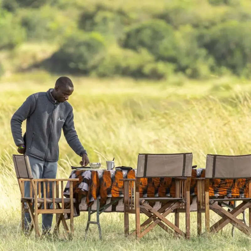 A staff member sets a dining table in tall grass for a bush lunch, with folding chairs arranged in open savannah and green woodland in the distance.