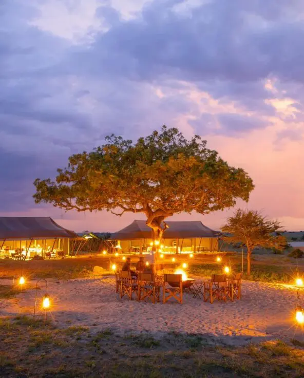 Olakira Migration Camp glows at night with lanterns surrounding outdoor seating beneath a large tree, canvas tents illuminated in the background under colourful dusk clouds.