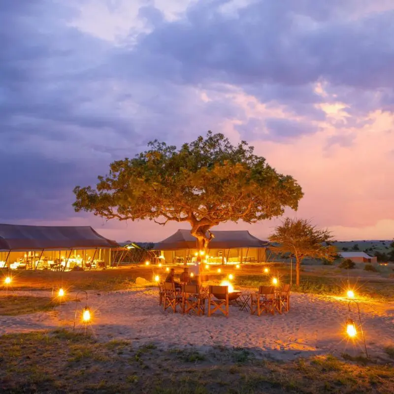 Olakira Migration Camp glows at night with lanterns surrounding outdoor seating beneath a large tree, canvas tents illuminated in the background under colourful dusk clouds.