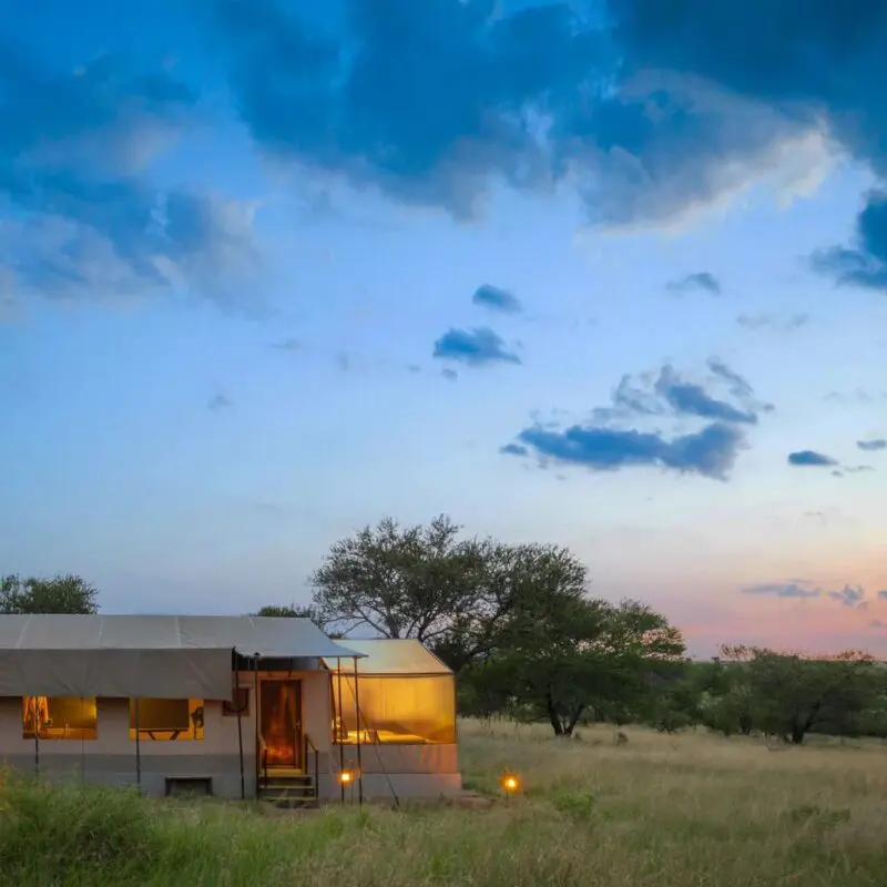 A safari tent softly lit at dusk, set among grassy plains and scattered trees, with lanterns marking the path and a dramatic blue and pink evening sky overhead.