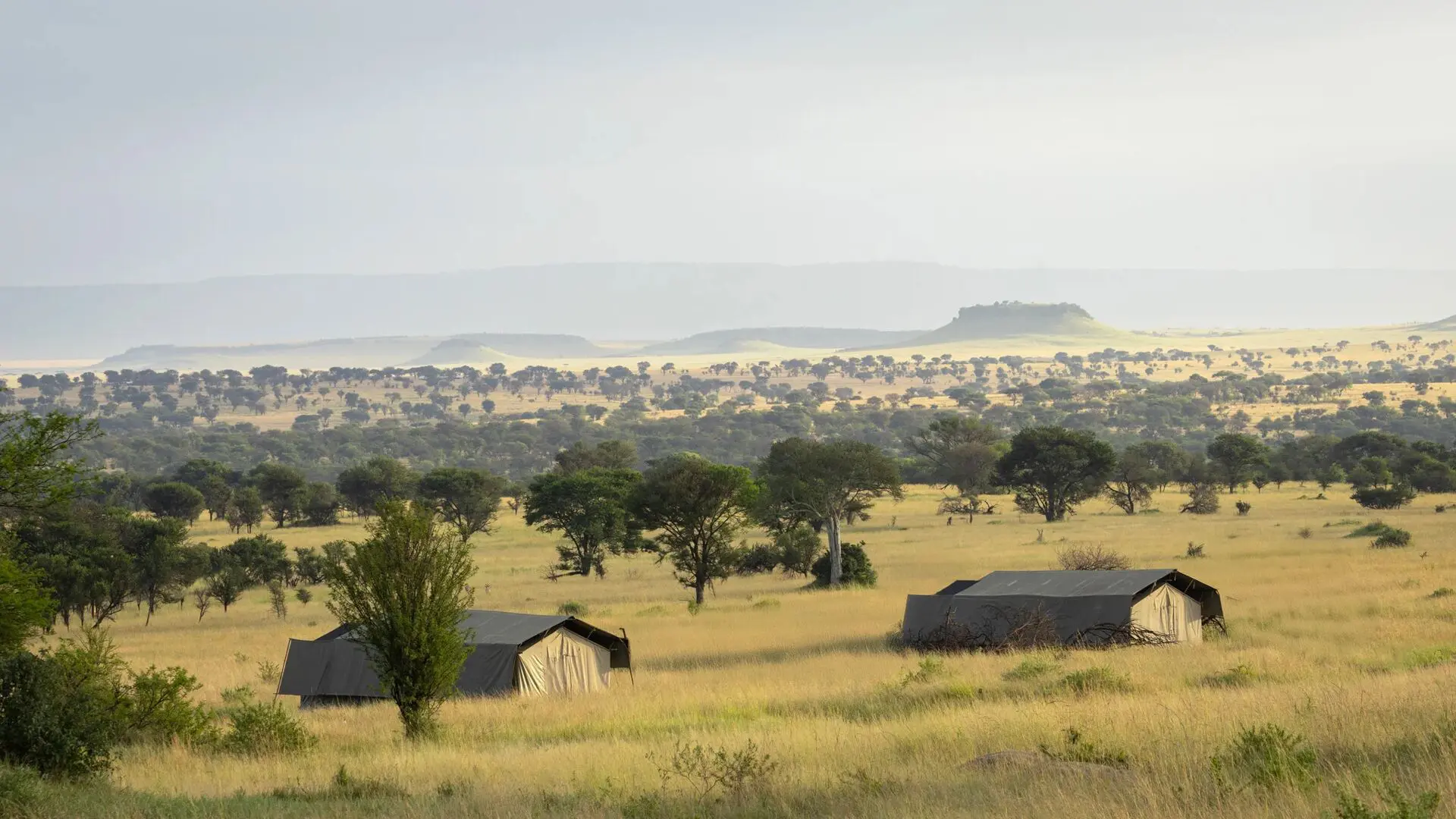 A mobile safari camp with canvas tents set among golden grasslands and scattered acacia trees, overlooking expansive plains and distant hills.