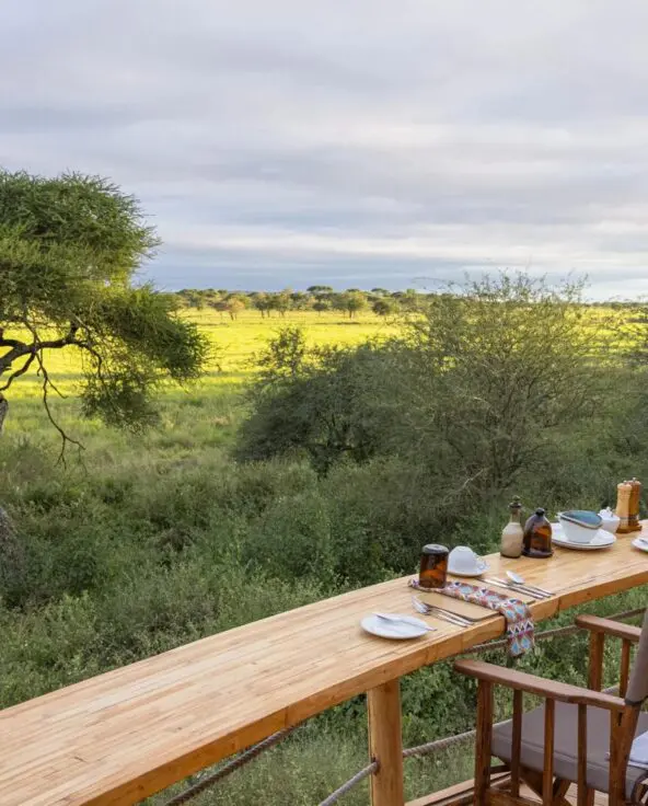 An Asilia staff member sets a breakfast table on a raised wooden deck, with chairs arranged along the edge and expansive views of Tarangire National Park and acacia trees beyond.