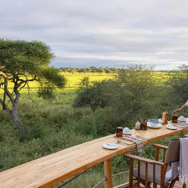 An Asilia staff member sets a breakfast table on a raised wooden deck, with chairs arranged along the edge and expansive views of Tarangire National Park and acacia trees beyond.
