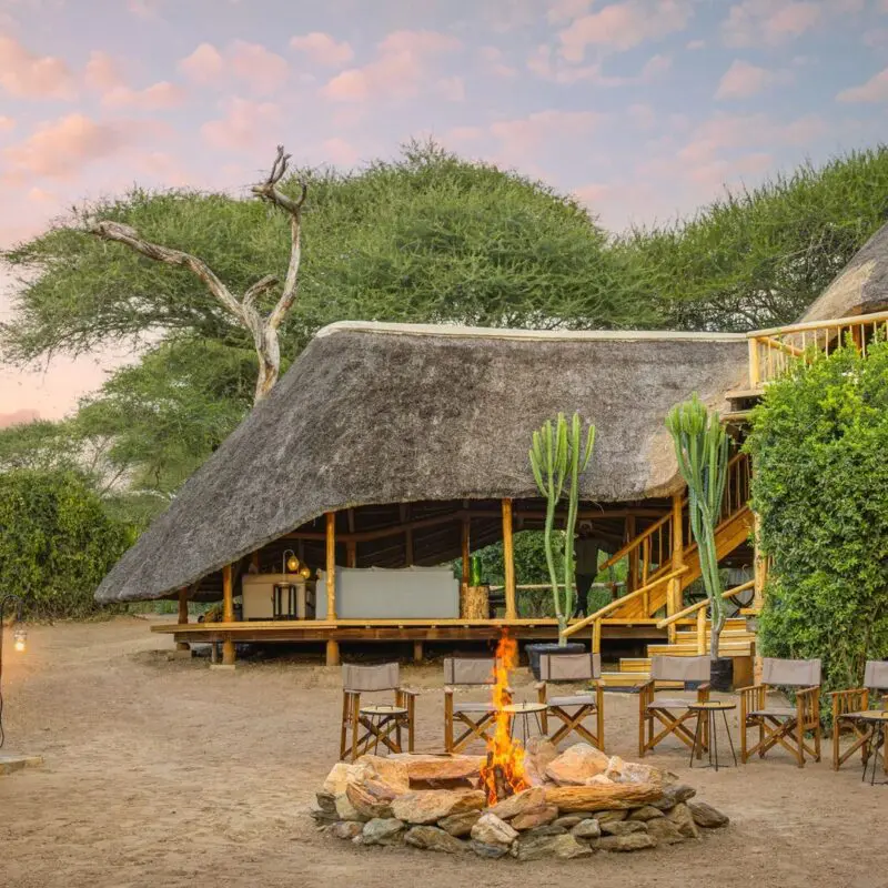 Outdoor area at Oliver's Camp with thatched buildings, a central fire pit surrounded by chairs, and a bar setup, set among trees at dusk with warm lantern light.
