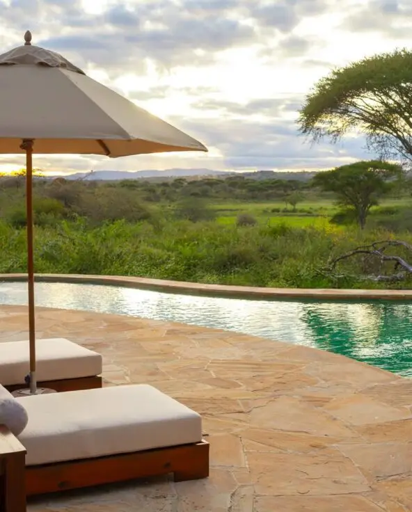 The serene swimming pool at Oliver's Camp with loungers and umbrella, overlooking Tarangire National park dotted with acacia trees beneath a soft, cloudy sky.