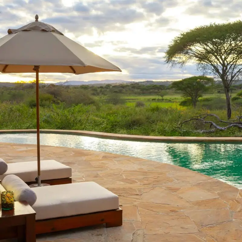 The serene swimming pool at Oliver's Camp with loungers and umbrella, overlooking Tarangire National park dotted with acacia trees beneath a soft, cloudy sky.