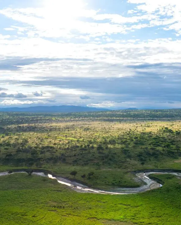 Wide aerial view of Tarangire National Park, showing expansive savannah, scattered trees, and a winding river cutting through green plains beneath a dramatic sky.
