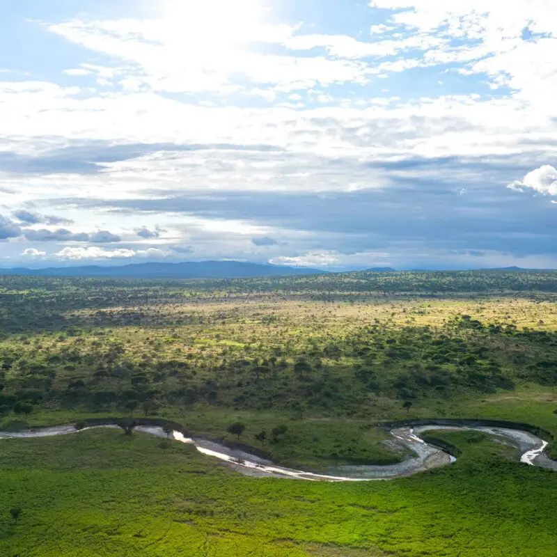 Wide aerial view of Tarangire National Park, showing expansive savannah, scattered trees, and a winding river cutting through green plains beneath a dramatic sky.
