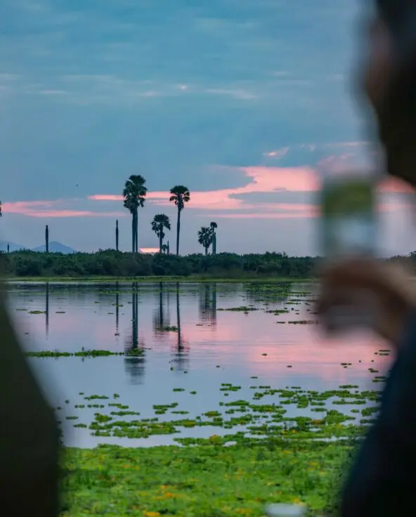 A calm river at sunset with palm trees reflected in the water, viewed between blurred foreground figures